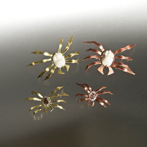 Cameo Spiders (unmounted)